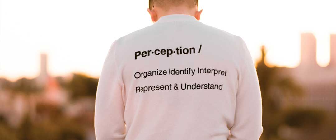 definition of perception
