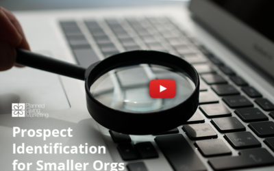 How Prospect Identification Is Different for Small Organizations